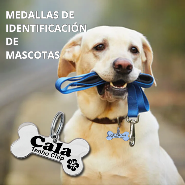 Identificación de Mascotas en Acero